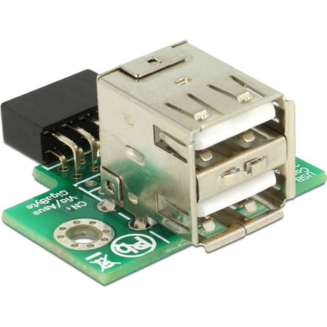 Delock Cabezal pin USB hembra 2 x USB 2.0 Tipo-A hembra - arriba