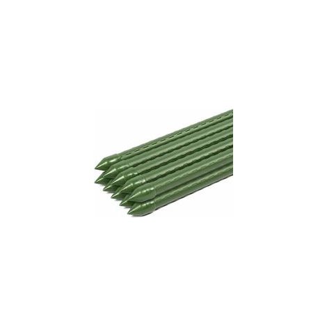 10 Tuteurs pour Plantes, Supports Et Tige De Soutient, Échalas pour Jardin Intérieur/Extérieur (Longeur 60cm φ8mm) (1/4)
