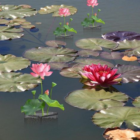 Set di 4 cestini galleggianti per piante acquatiche, sacchetti traspiranti per balcone, giardino, laghetto, vasca idroponica - ALTRO (1/4)