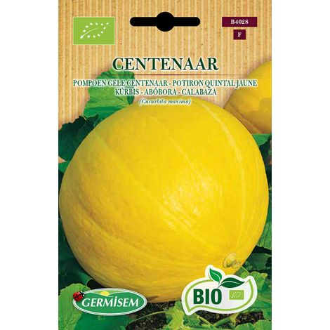 Germisem Biologico Centenar Semi di Zucca 2 g