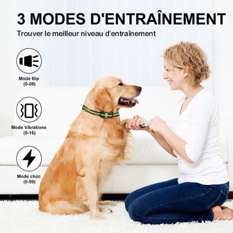 Collier de dressage électrique pour chiens – 3 modes de formation : bip, vibration, choc – Portée 500m, IP67 étanche, verrou de sécurité