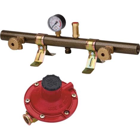 CENTRALINA GAS 2 ATTACCHI COMPLETA 4 Kg/h