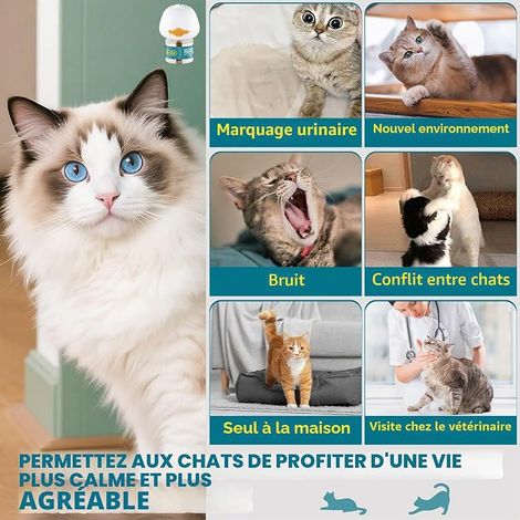 Diffuseur Pheromones Chat Diffuseur Feromone pour Chat Chat et Chatons Recharges ML (1/4)