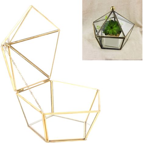 Serre en verre dorée pour plantes succulentes, couvercle géométrique pour fleurs stabilisées, serre en verre à bandes de cuivre (1/5)