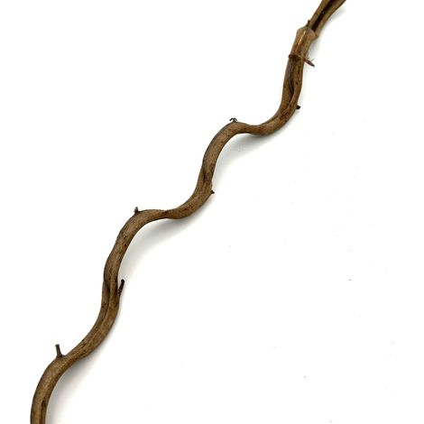 BioThai Liana 1-2 cm / 100 cm (1/5)