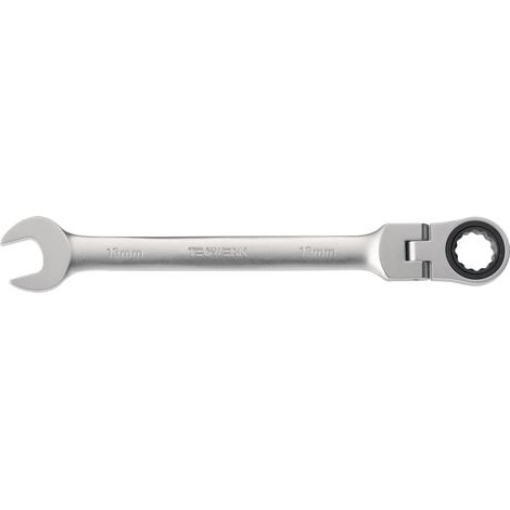Llave combinada con carraca articulada SW 19mm L.250mm TECWERK (1/4)
