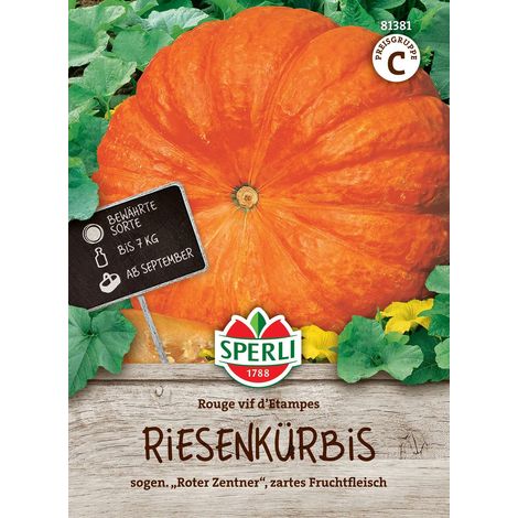 Sperli – Courge « Rouge vif d'Etampes » – Graines de légumes, fruits env. 5-7 kg (1/2)