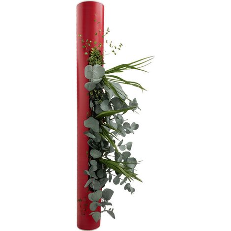 Fleurs stabilisées en tube décoratif - Rouge - 70cm - Flowerbox (1/3)