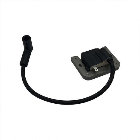3258406 für Zündspulenmodul für KT-Motoren 32-584-06-S (1/5)