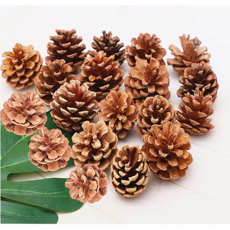 150 mini pommes de pin de 1 à 2 cm pour sapin de Noël, décoration de table et automne (1/5)