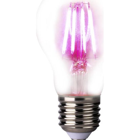 LightMe Lampadina LED per piante LM85320 109 mm 230 V E27 4 W Forma di bulbo 1 pz.