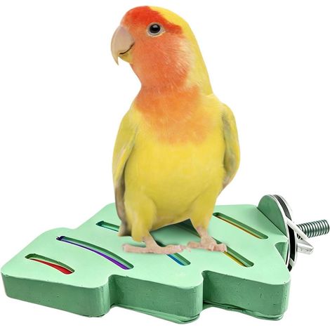 Perchoirs pour Oiseaux de Cage,Jouets Perchoirs d'exercice en Résine Plats Adaptés Aux Cages À Oiseaux pour Perruches Ondulées, Perruches, Conures, Inséparables, Entraînement (1/5)