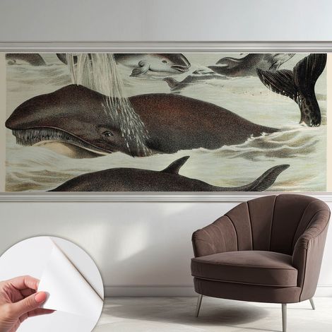 Fototapete Selbstklebend - Wanddekoration - Wandfolie - 3D Tapete Wand - Wohnungsdeko Meeresbewohner 250x104 cm (1/5)