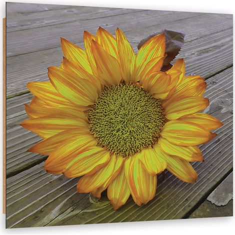 Quadro deco panel, Girasole giallo - 30x30 (1/5)