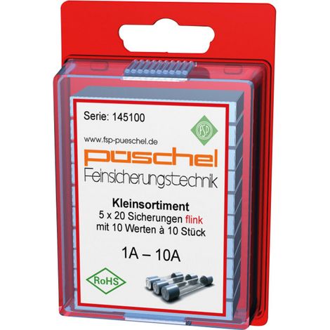 Püschel Feinsicherungen SORTI01FB SORTI01FB Feinsicherung (Ø x L) 5 mm x 20 mm   Flink -F- Inhalt 10