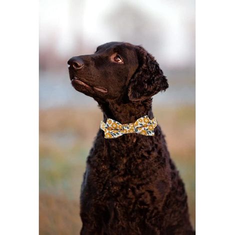 Hundehalsband mit Fliege – Geblümte Baumwolle – Verstellbar – Für kleine bis große Hunde – Rosa (1/5)