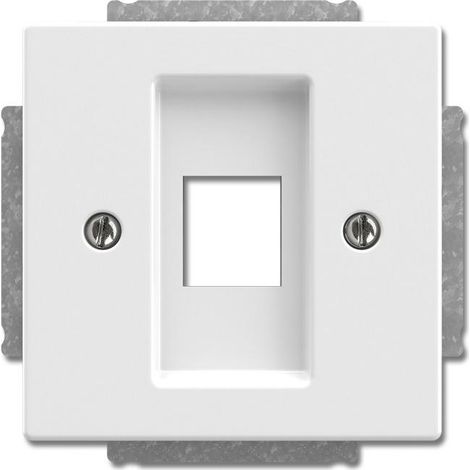 Plaque de finition Busch-jaeger 2561-84 plastique glossy