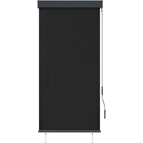 Maison Exclusive - Store roulant d'extérieur 80 x 250 cm Anthracite (1/5)