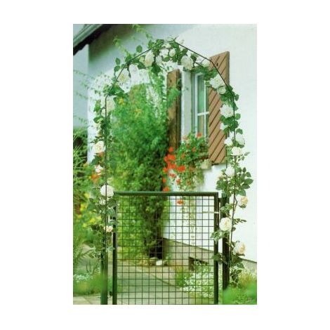 Portail de jardin .vert 100 X 150 cm