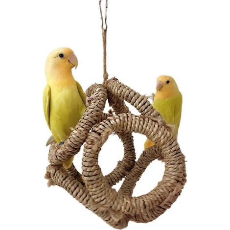 Cage, jouet pour oiseaux, anneaux pour perroquets, perchoir à branches, anneaux pour cannes à pêche, conures, inséparables (1/4)