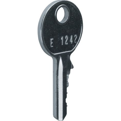 Llave de repuesto universal para FZ597, cerradura 1242E, IP44/IP54 FZ596 (1/2)