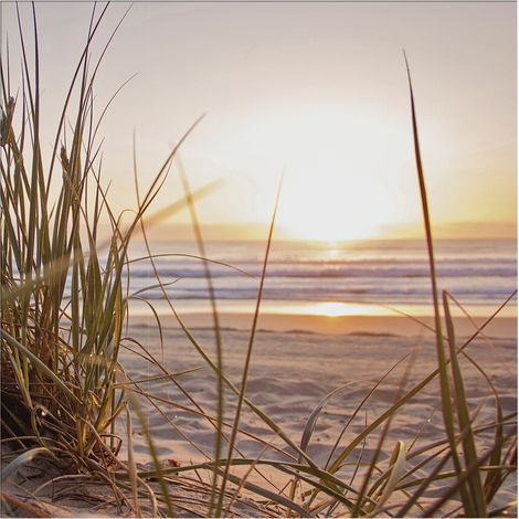 Art for the Home Outdoor Leinwandbilder Sonnenuntergang 50x50cm