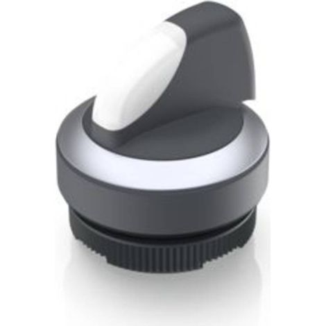 RAFI 1.30.272.027/2200 RAFIX 22 FS+ Pulsante illuminato 2 x 40 ° 1 pz.