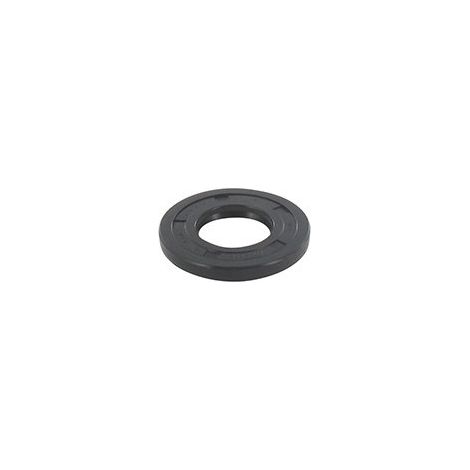 Guarnizione paraolio BRIGGS et STRATTON 393812