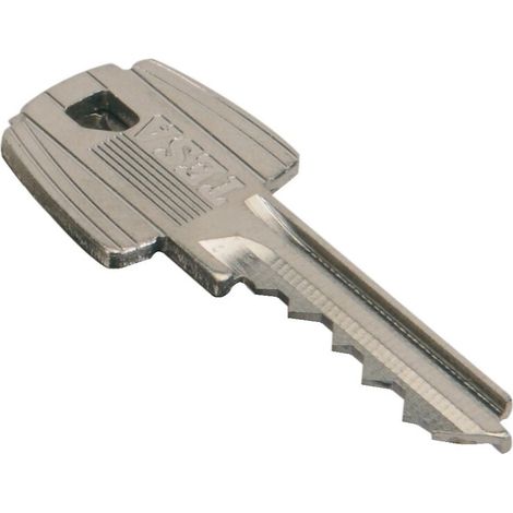 Kit de 3 clés pour cylindre TE5 sur numéro suivi 68454 A-B - TESA SA