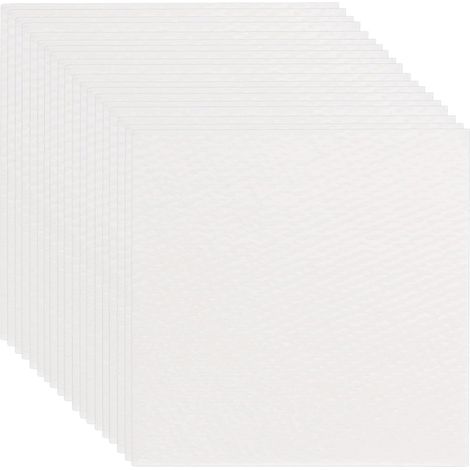 100 Feuilles Déshumidifiantes en Fibres Végétales pour Aliments, Absorbeur D'humidité Portable et Compact pour Bocaux Alimentaires et Biscuits (1/5)