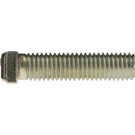Reidl Hammerkopfschrauben Typ 28/15 M 10 x 125 4.6 verzinkt farblos, mit Mutter