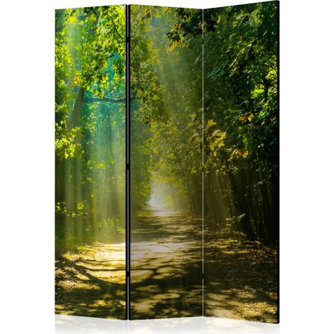 Paravent 3 Volets "Road in Sunlight" 135x172cm (1/2)