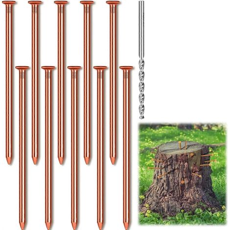 40 clous en cuivre, de 3,15 pouces de long, clous en cuivre pur avec forets, pour enlever les souches d'arbres de leurs racines.