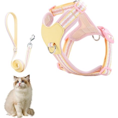 Ensemble harnais et laisse pour chat, motif à rayures, maille respirante, convient aussi bien aux chatons qu'aux chiots (1/5)