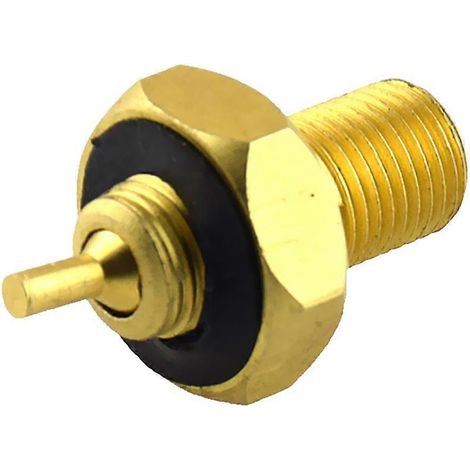 Réducteur interne pour valve de pneu à grand diamètre, réduisant le diamètre de la valve à standard. (1/5)