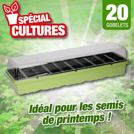 Kit de germination 53x14,5x8cm (1/2)