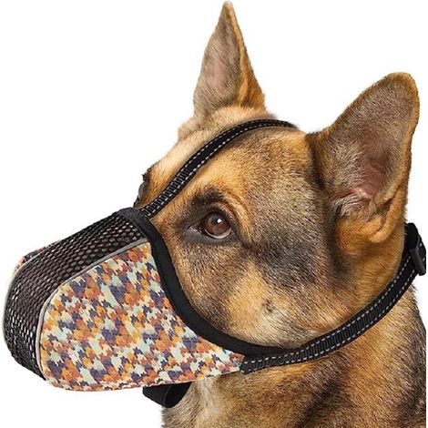 2er-Set Maulkorbe für sehr große Hunde Verhindert Beißen Kauen und Bellen Atmungsaktiver reflektierender verstellbarer Netzmaulkorb Vollständige (1/5)