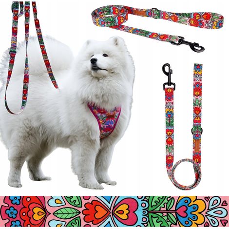 Correa CITY PERRO MEDIANO hasta 20 kg bulldog pug collie galgo Ukory COLORIDO (1/5)