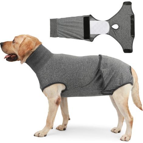 Vêtement de Protection Post Opératoire pour Chien Chat Stérilisation Cicatrisation Confortable Léger Respirant Alternative à la Collerette Élisabéthain (1/4)