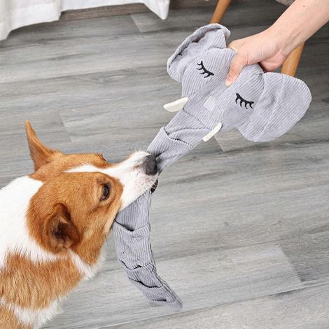 Distributeur de jouets pour chiens, peluche interactive éléphant en peluche à mâcher et à renifler (1/4)