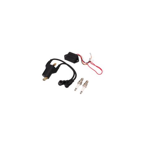 Juego de bobinas de encendido y bujías de repuesto CDI Club Car EPIGC107 para motores de gasolina de 4 tiempos EZGO 1991-2002 - Crezuo (1/3)