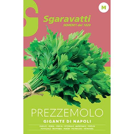 Semi per Ortaggi e Vegetali Prezzemolo Gigante Napoli Sgaravatti 10 Pezzi (1/2)