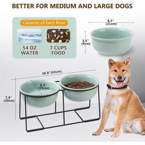 Erhöhter Keramik-Hundenapf – Doppelnäpfe für Futter und Wasser mit rutschfestem Metallständer – Ideal für mittelgroße Hunde – Grün – 2 x 1600 ml (1/4)