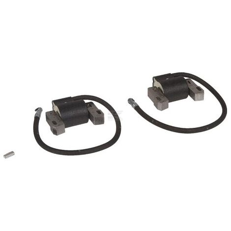 Bobine d'allumage BRIGGS & STRATTON 843860WM