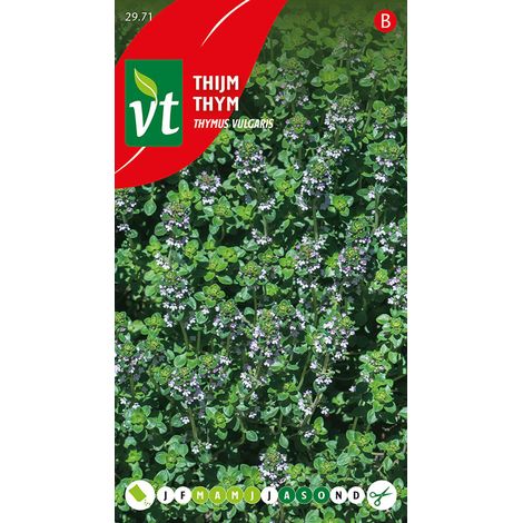Thym D'Hiver - Ca. 0,5 gr (Livraison Gratuite) (1/2)