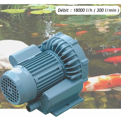 Pompe à Air Vortex Turbine 18000 l/h Pour Bassins De Jardin, Hydroponie (1/5)