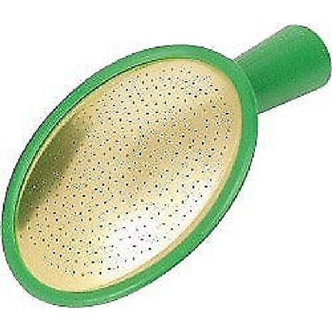 Fine as Rain Watering Can Rose - F5-10