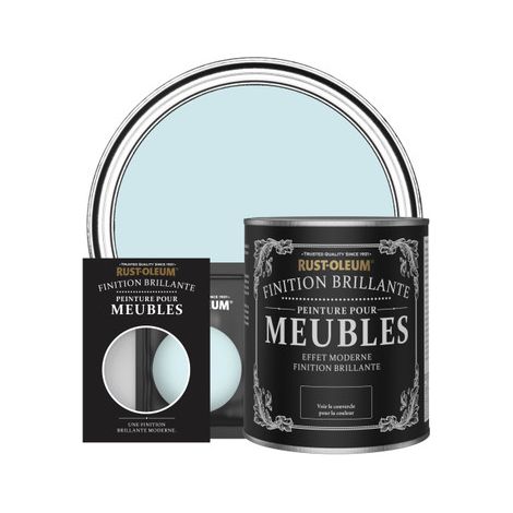 Peinture pour Meubles Brillante - Eucalyptus (1/3)