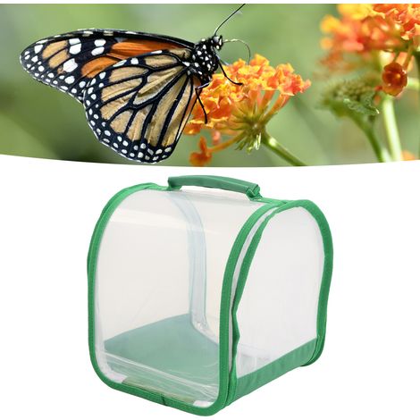 Cage d'observation transparente à 360 degrés pour insectes, cage à papillons pliable et portable, cage d'élevage d'insectes (1/5)
