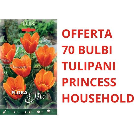 OFFERTA 70 BULBI DI TULIPANO KAUFMANNIANA PRINCESS HOUSEHOLD BULBS BULBES